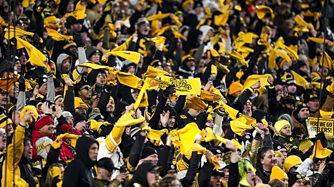 Browns official social media trolls big Steelers fan account