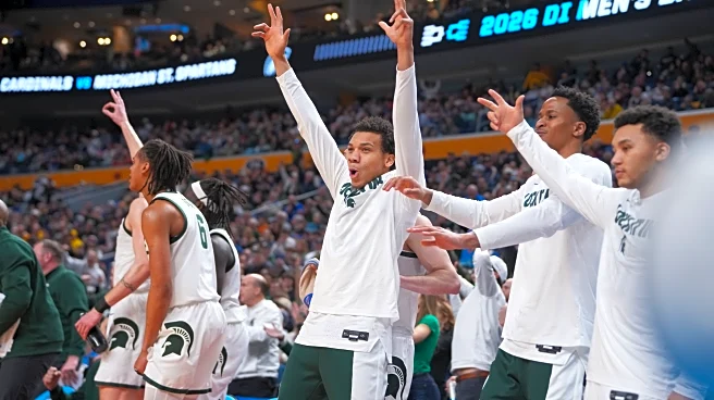 Michigan State Reacts Survey