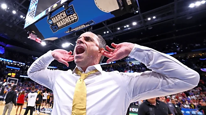 Twitter Gold: Iowa Fans In Heaven