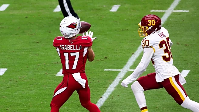 Former Cardinals players & coaches in the UFL