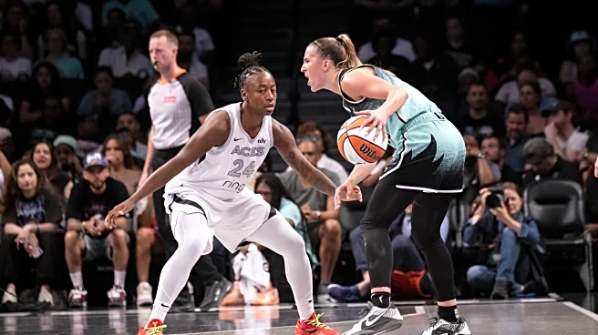 Everything you need to know ahead of all the WNBA drama to come, from the expansion draft to free agency to roster decisions