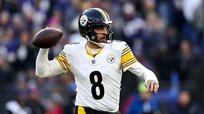 Steelers WR Michael Pittman believes Aaron Rodgers will return to Pittsburgh