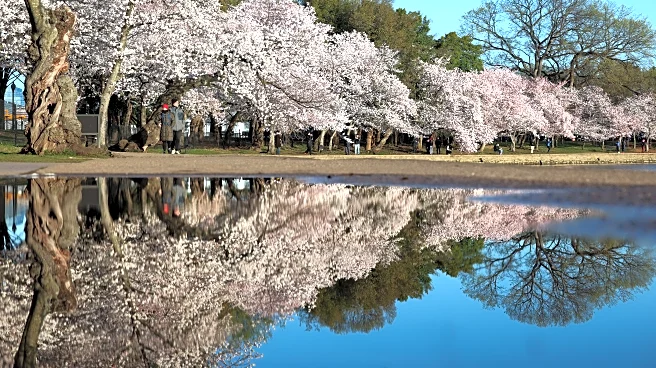 Wouldn’t it be nice if Spring Training meant something and the White Sox were mediocre?