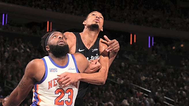 The art of a Mitchell Robinson offensive rebound