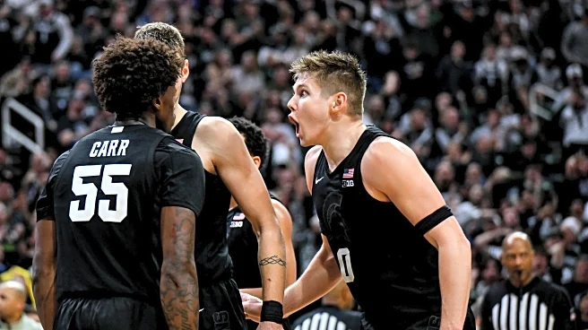 Michigan State Reacts Survey Results