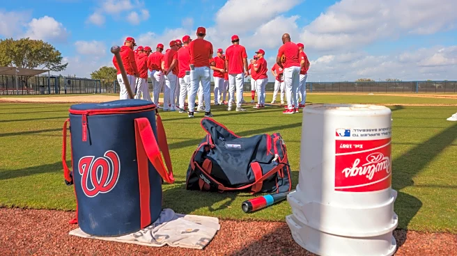 On The Horizon: Cubs vs. Nationals series preview