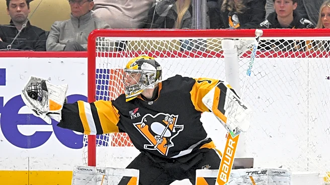 When should the Penguins make the Sergei Murashov call?