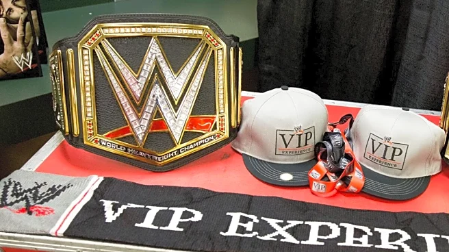 Day care director accused of stealing millions of tuition dollars for WWE tickets and trips