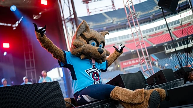 Titans Reacts Survey