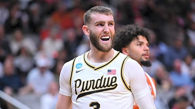 Elite Eight: Purdue vs Arizona, Offensive Heavyweights Meet