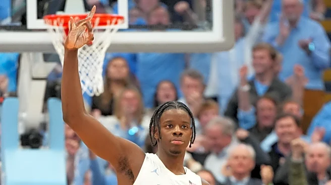 Caleb Wilson declares for the NBA Draft