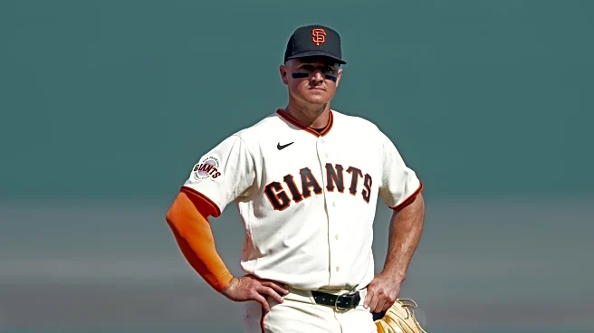 Bats still in transit