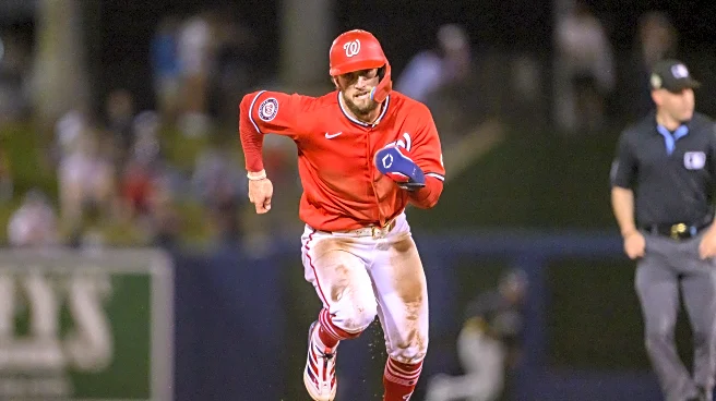 The Rochester Red Wings will be fun to watch for Washington Nationals fans