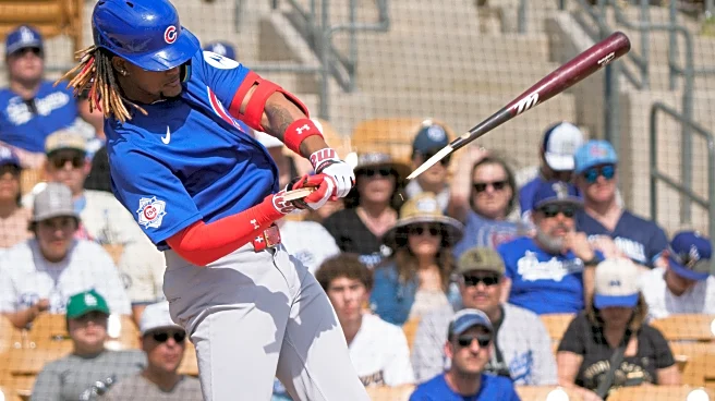 Iowa Cubs Wrap: I-Cubs fall late to Columbus, 4-3
