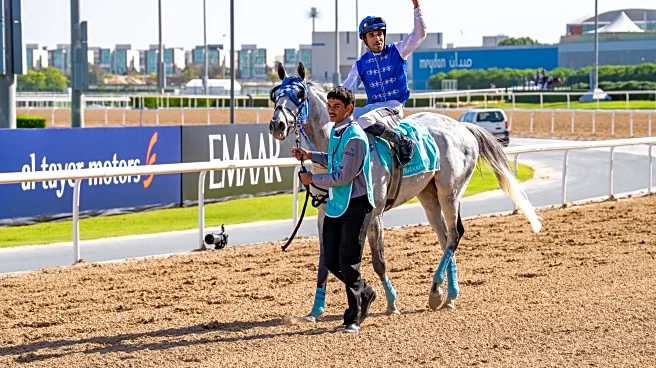 The Daily Hilario: Sunday