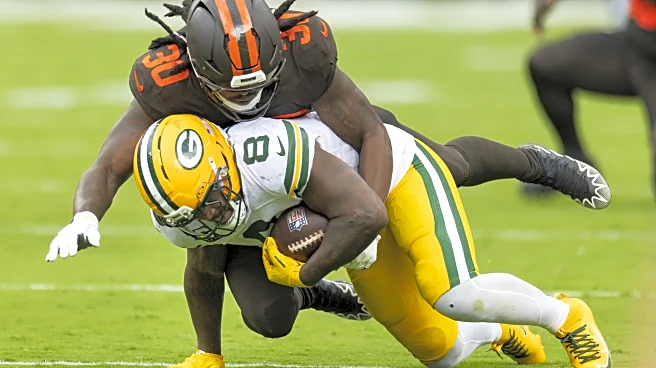 Devin Bush is a ‘legitimate impact player’