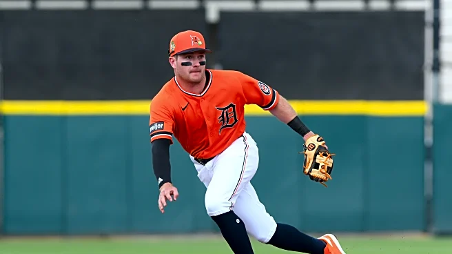 Arizona Diamondbacks Series Preview #2 : Diamondbacks vs Tigers