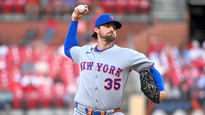 Red Birds at Night, New York Delight