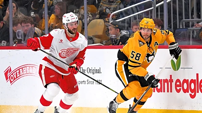 Game Preview: Detroit Red Wings @ Pittsburgh Penguins 3/31/2026