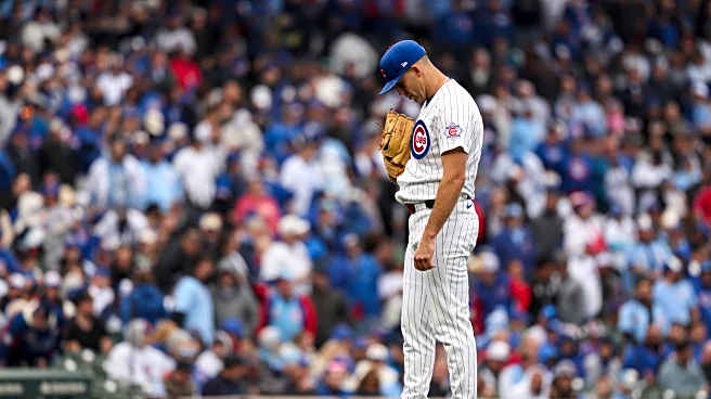 SB Nation Reacts survey: What are you worried about regarding the Cubs?