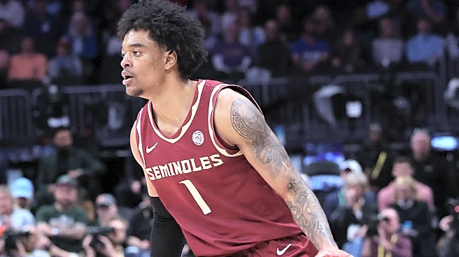 Report: FSU G Martin Somerville to enter transfer portal after one season in Tallahassee