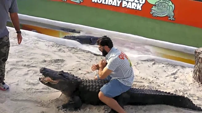 Weirdest side quest yet? Arman Tsarukyan wrestles ‘huge’ Florida gators