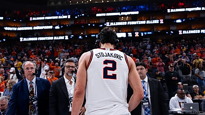 Everything you need to know about Illinois’ Andrej Stojaković