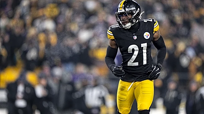 Former Steelers safety signs with Detroit Lions