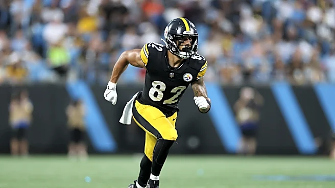 Former Steelers WR comes out of retirement, signs with Titans
