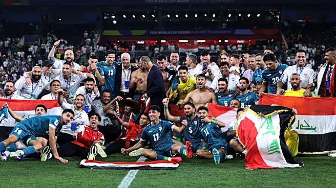 The Daily Bee: World Cup Qualifiers are Over!