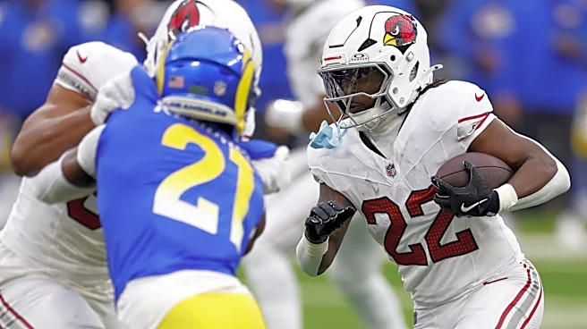 Former Cardinals RB finds new home