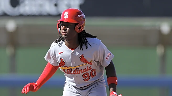 Casual Cardinals fan’s guide to the minor leagues