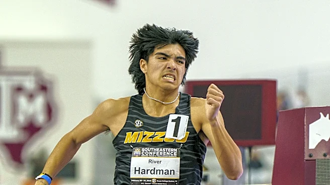 Preview: Tigers at the Ready for Battle on the Bayou