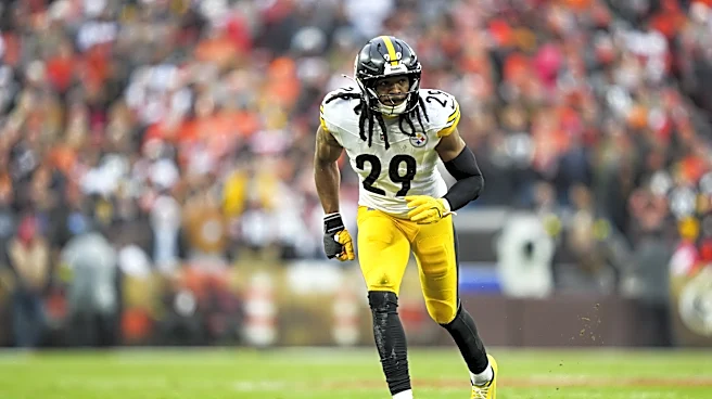 Former Steelers safety Kyle Dugger signs with AFC North rival