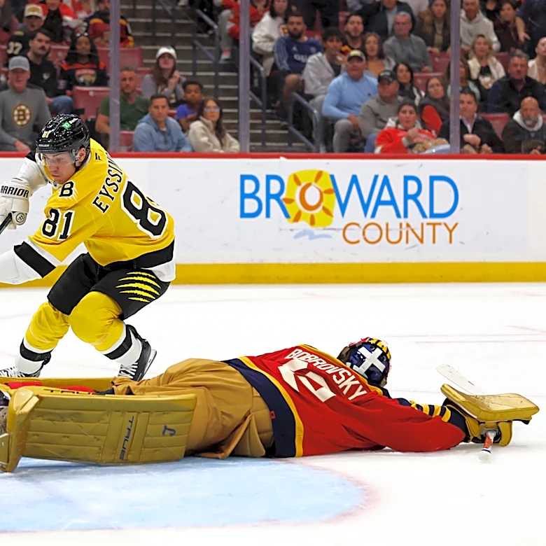 Public Skate: Bruins vs. Panthers