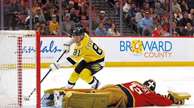 Public Skate: Bruins vs. Panthers