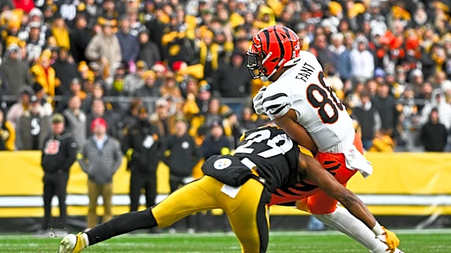 Bengals Twitter reacts to Kyle Dugger and Ja’Sir Taylor signings