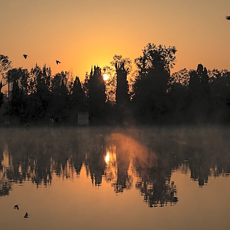 The Daily Hilario: Friday