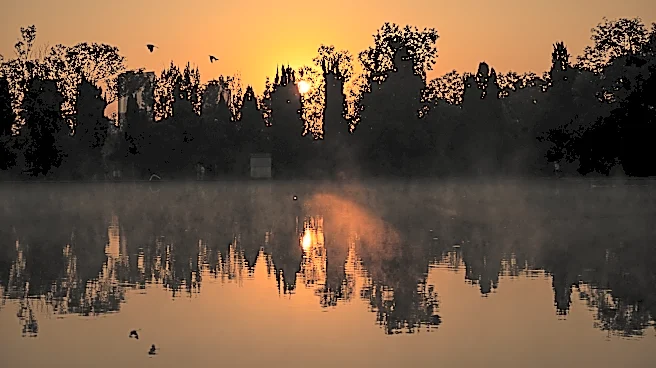 The Daily Hilario: Friday