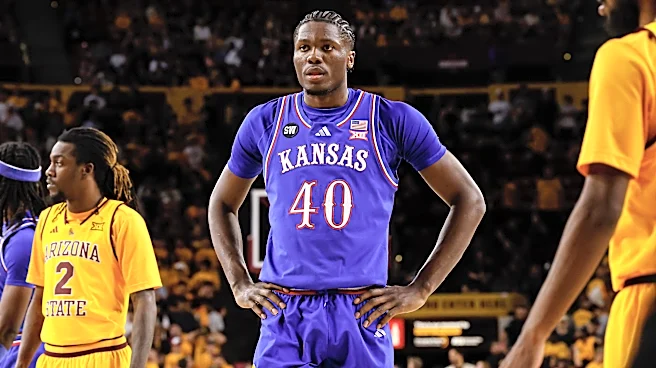 Michigan Basketball is a good destination for this transfer, per expert