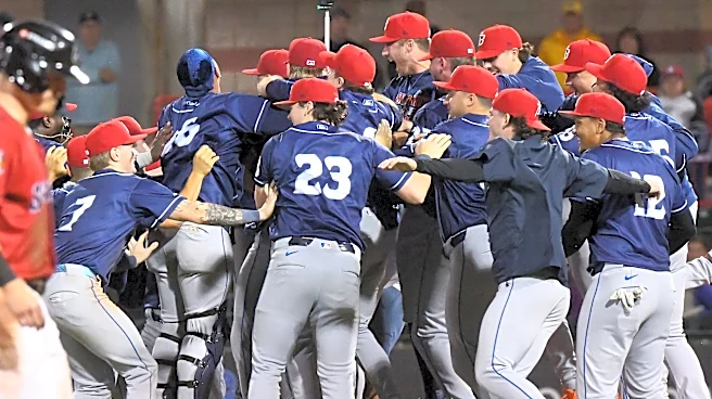 2026 Minor League Preview: Binghamton Rumble Ponies