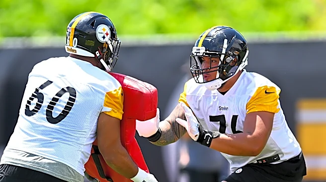 Steelers announce dates for minicamps, OTAs