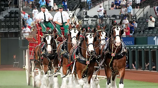 4-3 – Rangers a dud as Reds bring fireworks to 2026 Shed opener