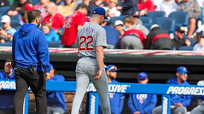 Guardians 4, Cubs 1: Cade Horton injured and Cubs lose. How was your Friday?
