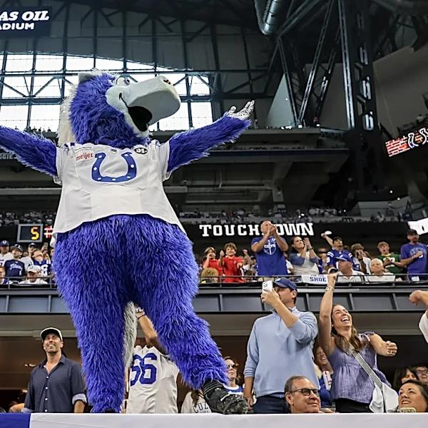 Colts Reacts Survey Results