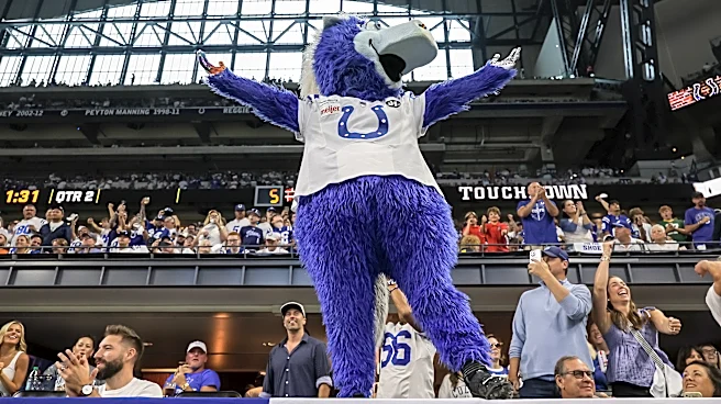 Colts Reacts Survey Results