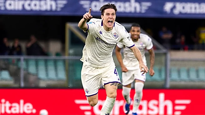 Hellas Verona 0-1 Fiorentina: Match report