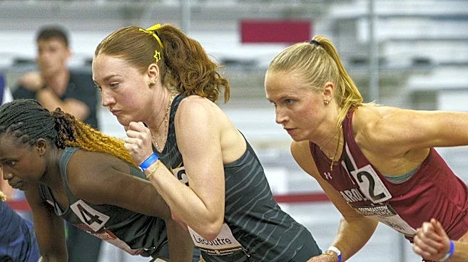 Tigers turn in stellar performances at Battle on the Bayou