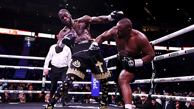 Deontay Wilder and Derek Chisora brawled, and the wild emotion of boxing came through