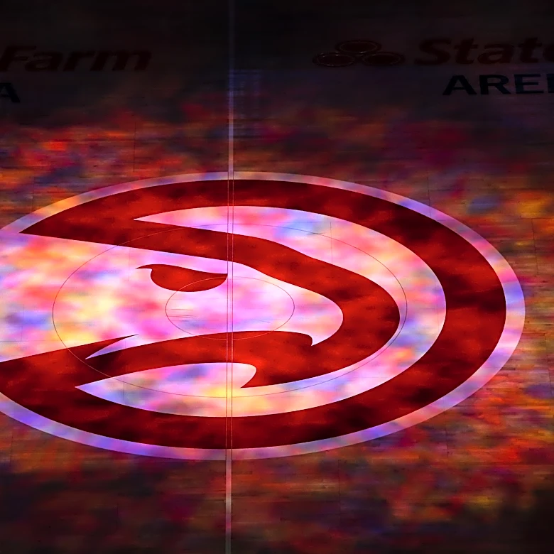 Viral post over hawk hiding in plain sight sparks discussion